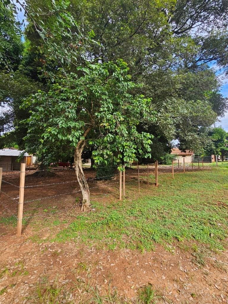 VENDO TERRENO EN LOMA MERLO - LUQUE – 2