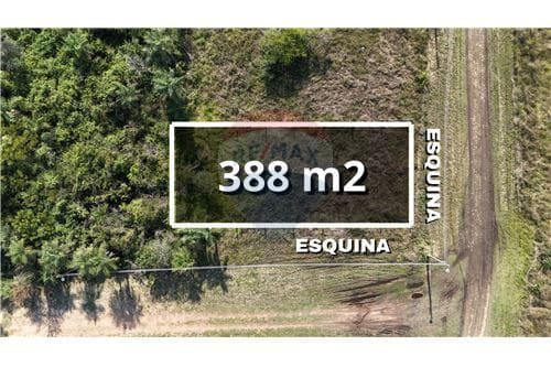 Terreno - Venta - Paraguay Cordillera San Bernardino – 2