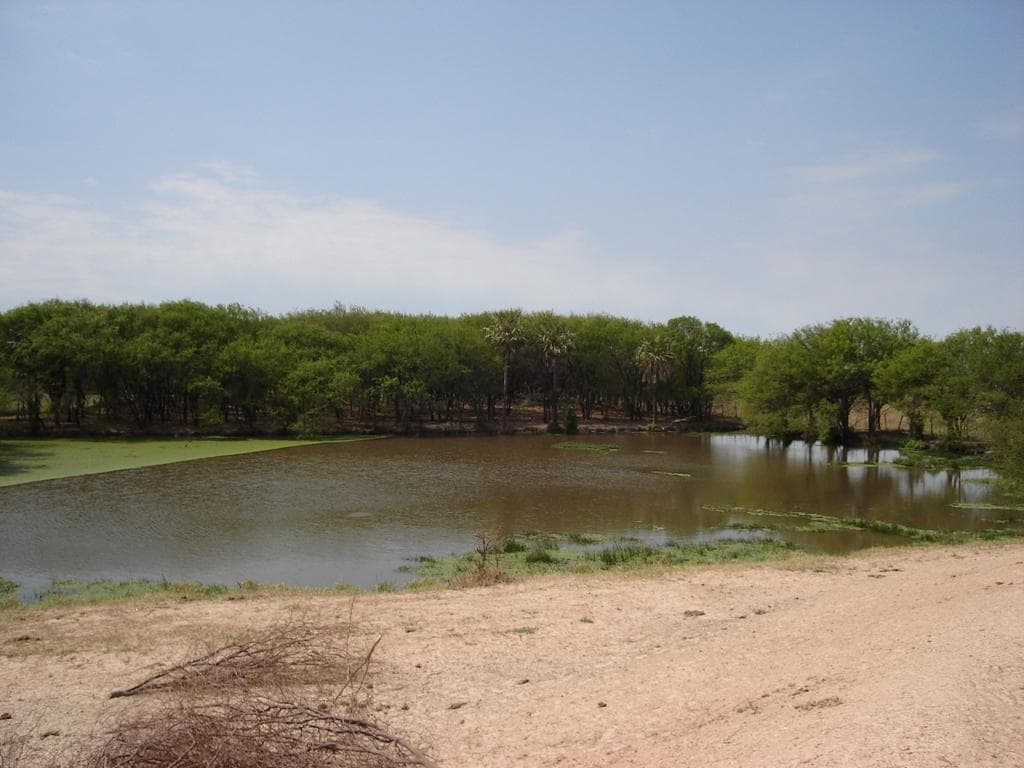 Estancia en Oferta – 2