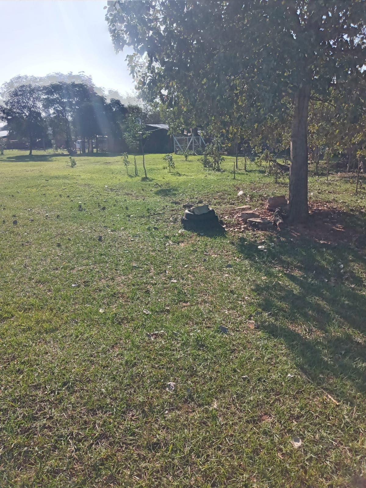 Luque Mora Cue 32.221m2 Cerca Fabrica Amandau – 2