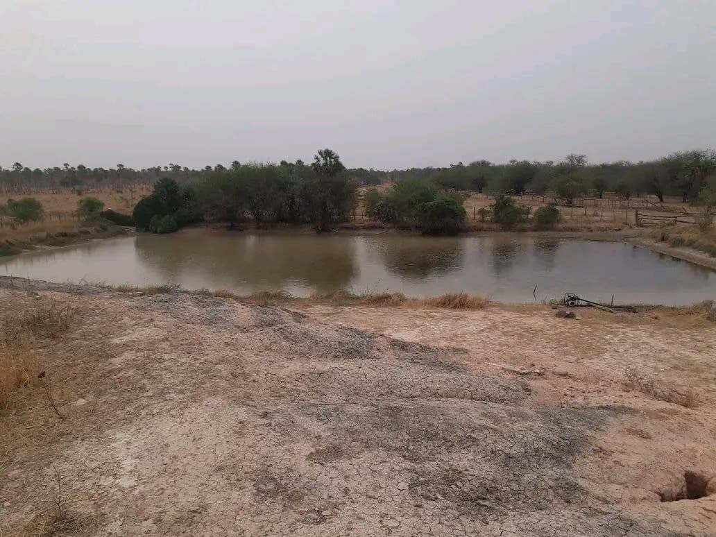 VENDO ESTANCIA EN ALTO PARAGUAY-FORTIN FLORIDA – 3