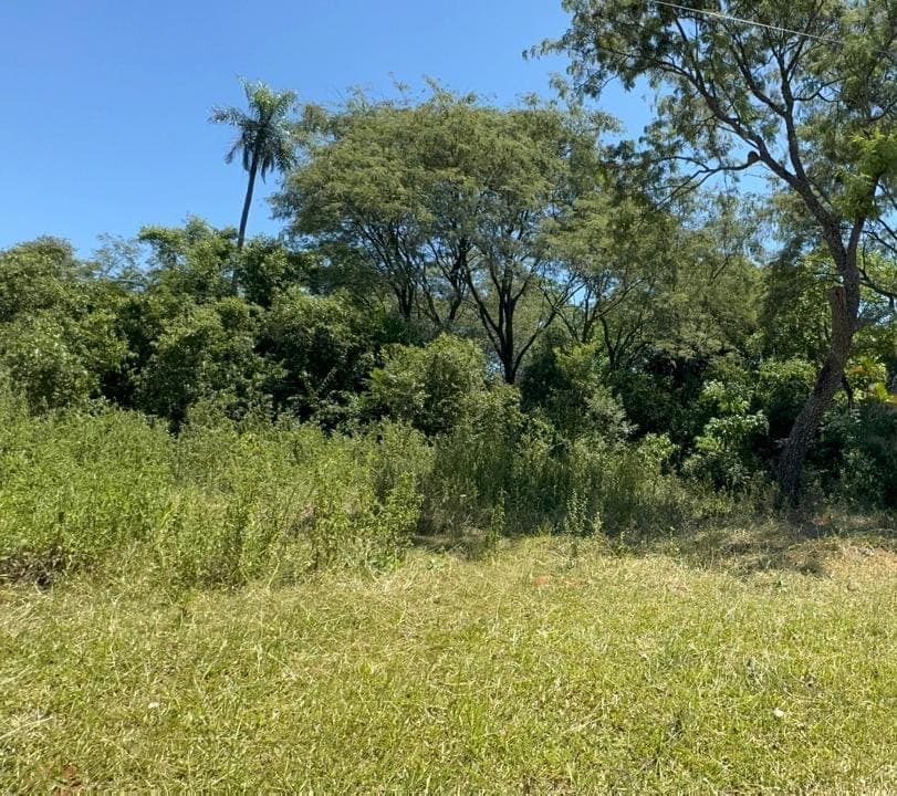 SAN BERNARDINO EN VENTA TERRENO DE 672 M2 A PASOS DE LOS ALPES – 2