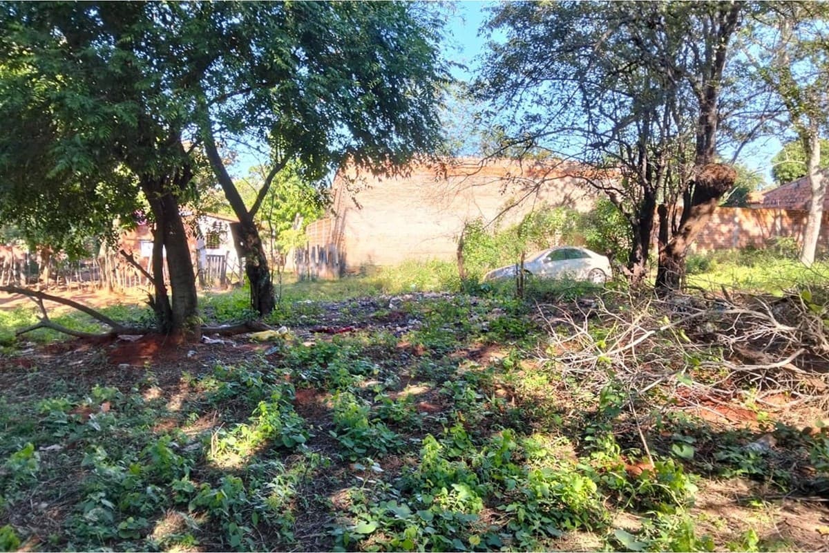 Terreno-Venta-Don Bosco, Aguapey, Limpio, Central