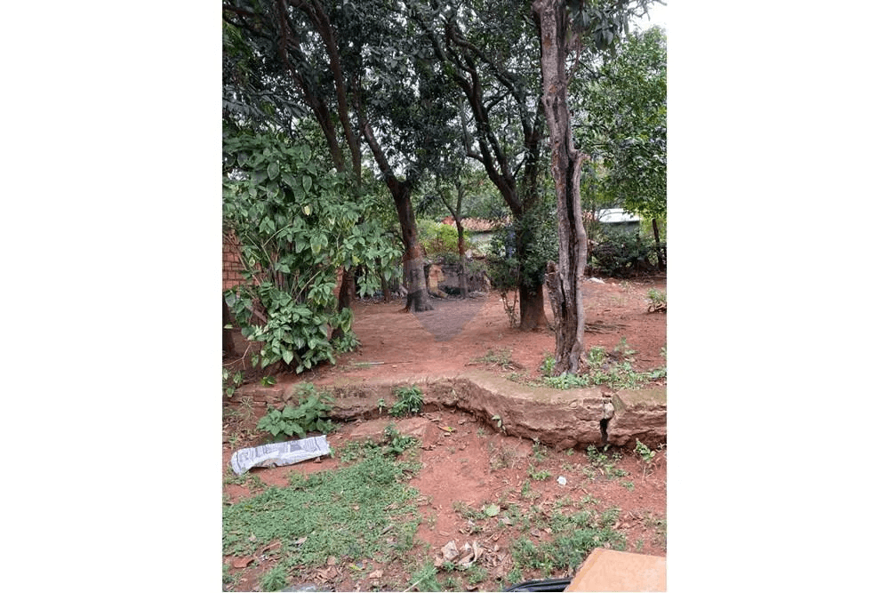 VENDO TERRENO EN SAN LORENZO-REDUCTO – 3