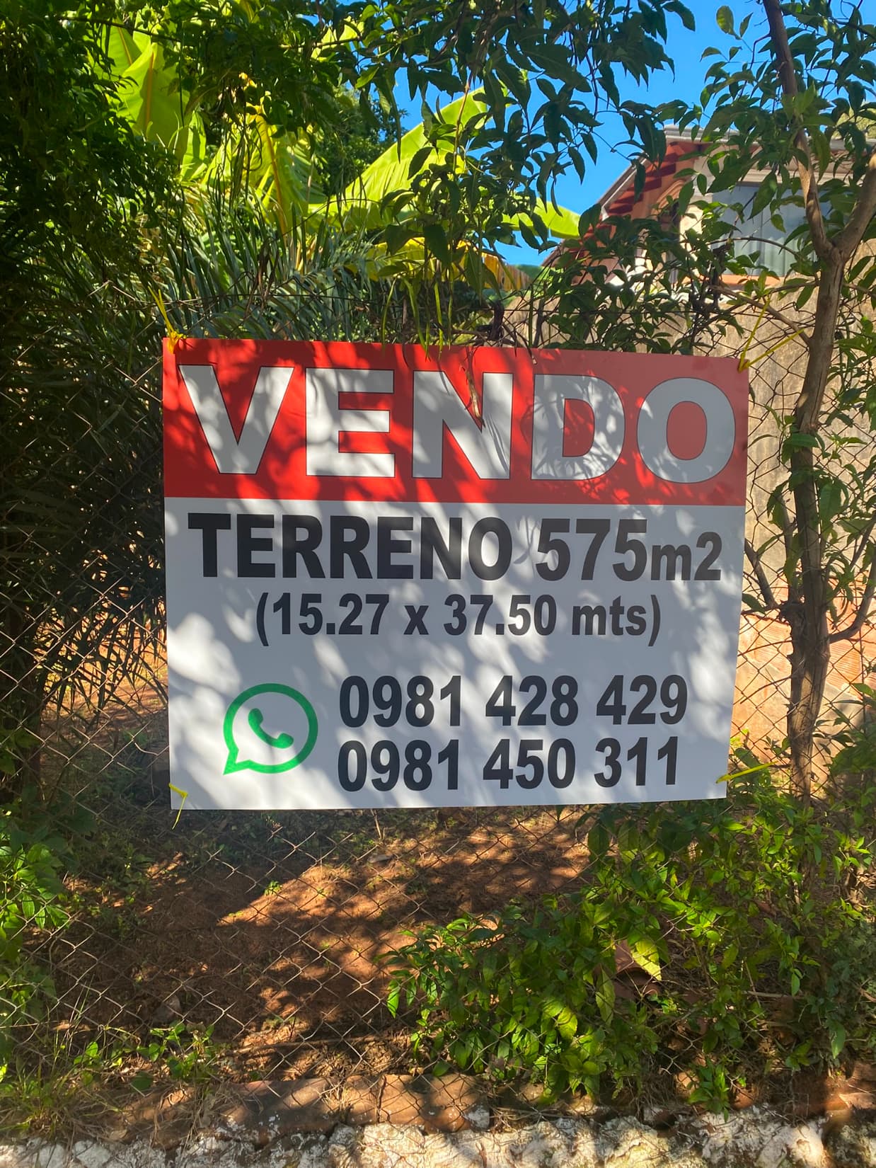 Asunción: amplio terreno arbolado de 15,27 m. x 37,50m.