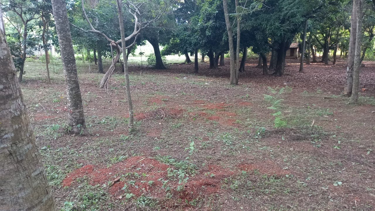 Vendo hermoso terreno en Itaugua: 6.134 m2 – 3