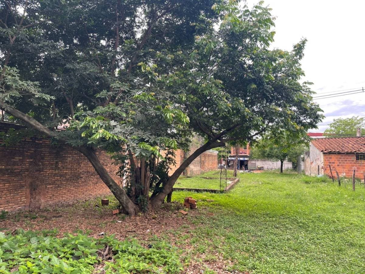 TERRENO DE 532 m² (esquina/penúltimo), a 100mts de Avda. del Rosario - LUQUE – 2