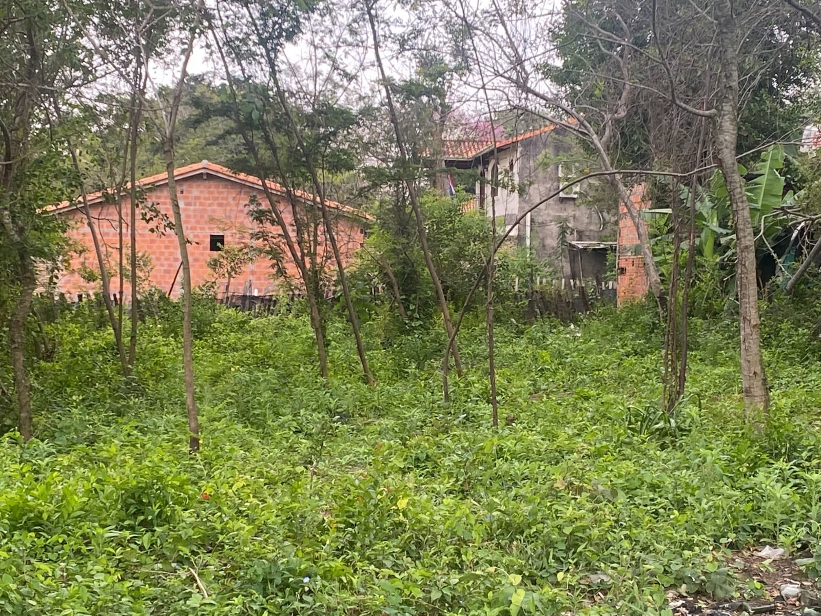 Vendo Terreno en luque – 2