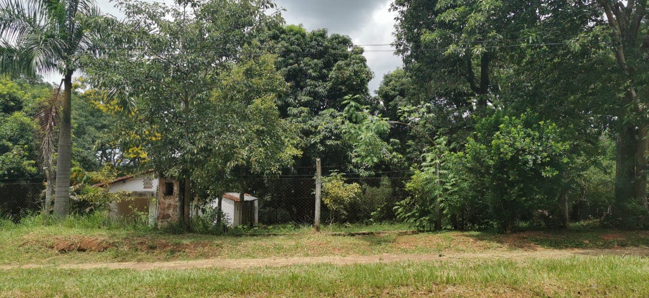TERRENO EN VENTA SOBRE RUTA CABAÑAS-CAACUPÉ – 3