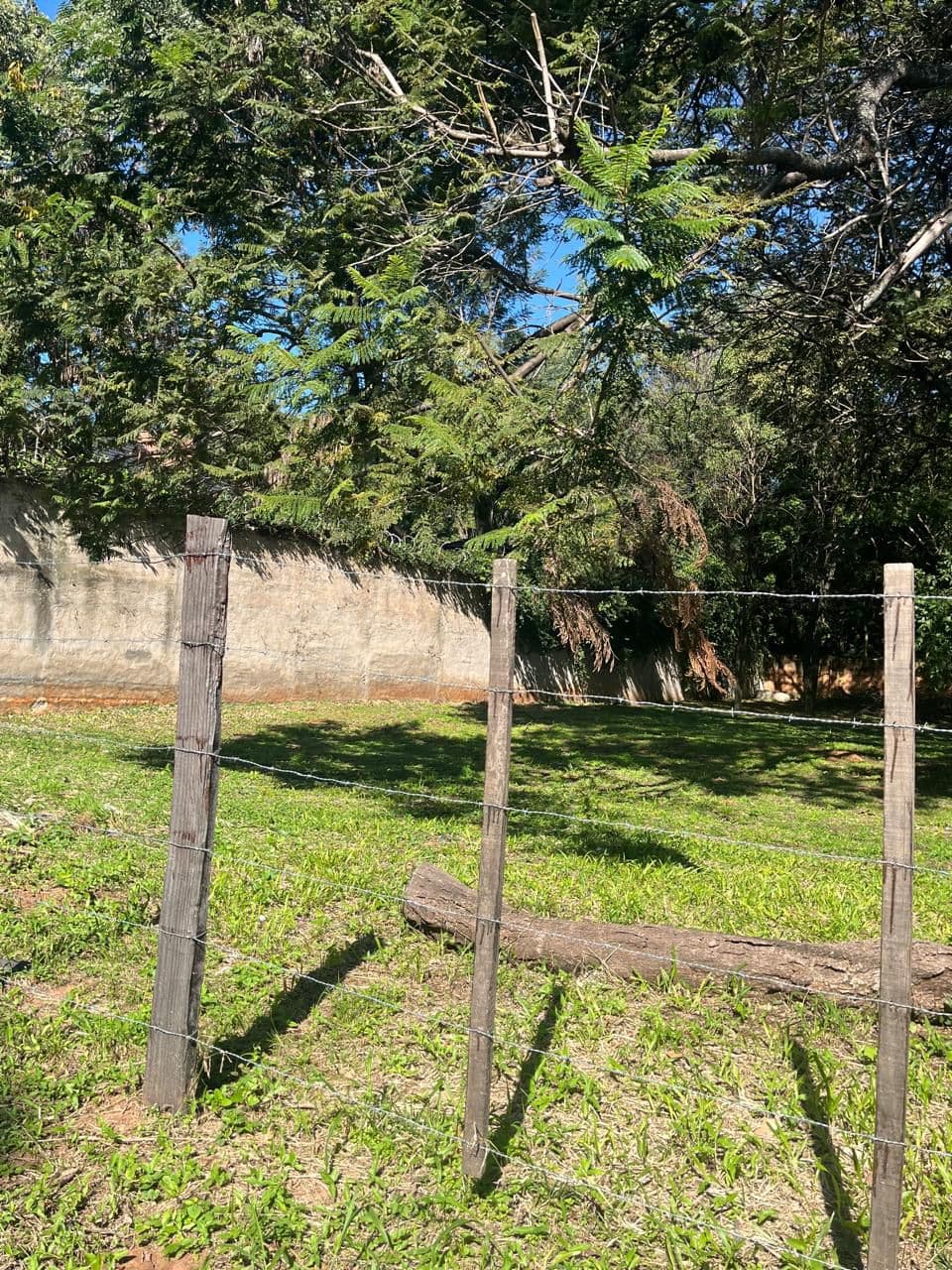 Vendo Terreno zona Colegio Lumen
