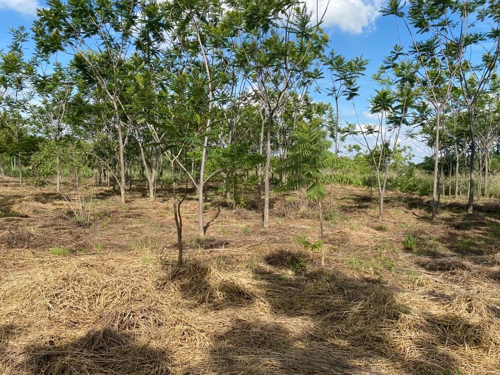 Vendo Terrenos en Surubi i, Mariano Roque Alonso-CLHO4946688 – 3