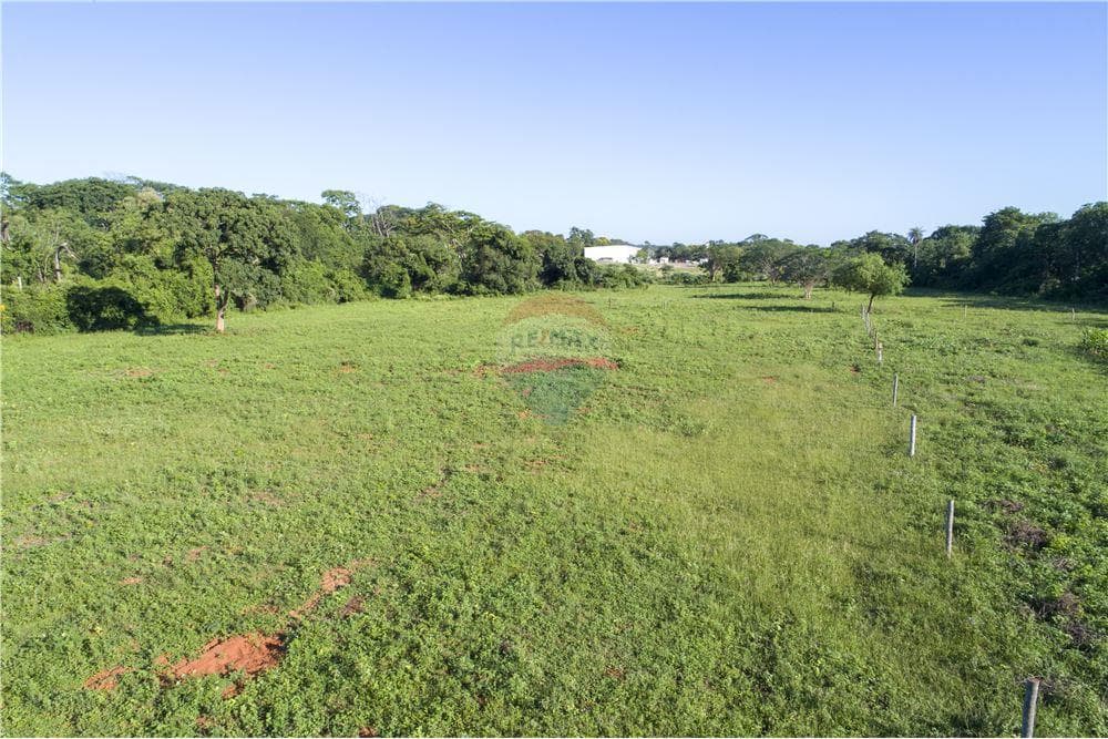 EN VENTA – TERRENO DE 3 HECTÁREAS EN LUQUE – 2