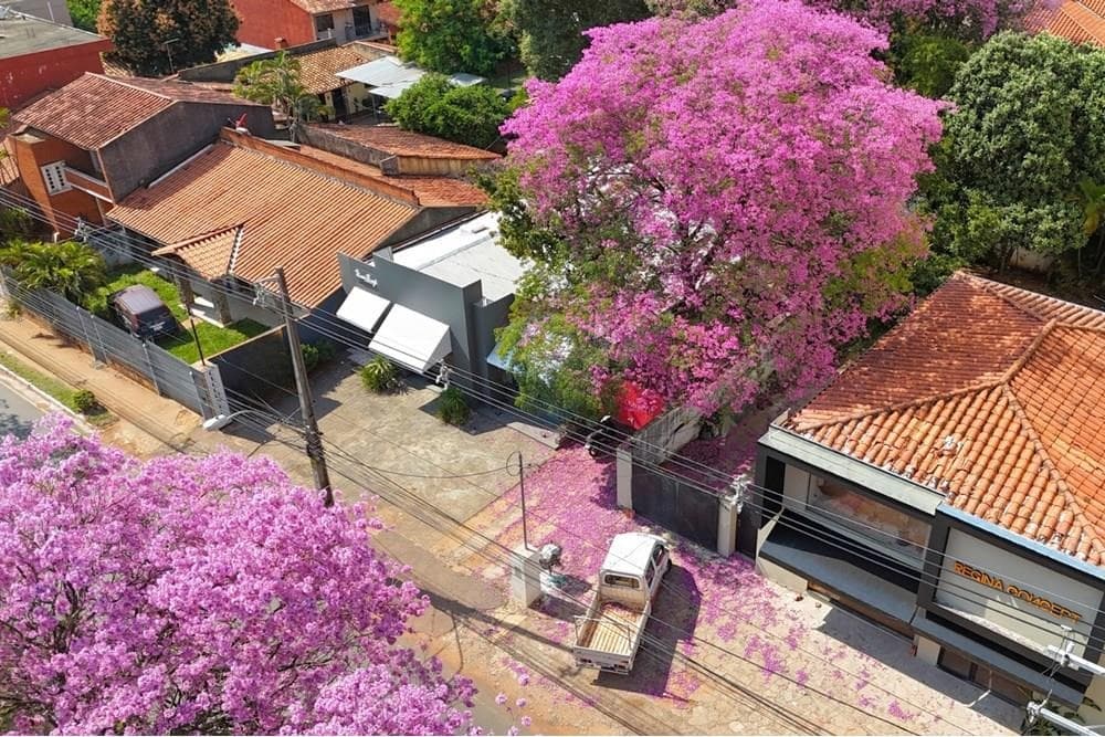 VENDO TERRENO / LOCAL COMERCIAL SOBRE SAN MARTIN – 3