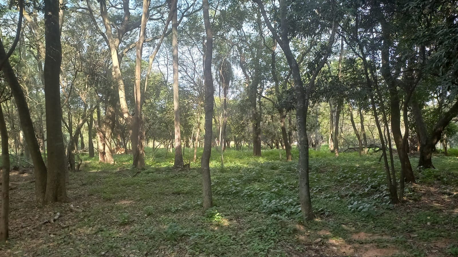 Vendo Terreno De 1191 M2 En Surubi´I Club De Campo Trato Directo Con Propietario