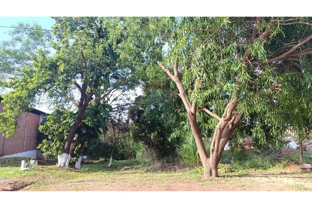 VENDO TERRENO EN S. LORENZO BARCEQUILLO