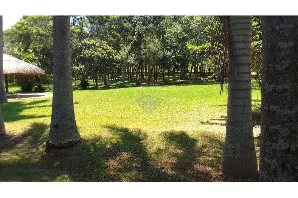 EN VENTA 55 HECTAREAS ITACURUBI DE LA CORDILLERA – 2