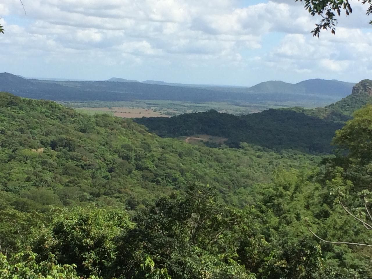Vendo Propiedad de 10 hectáreas en Paraguari zona Mbatovi
