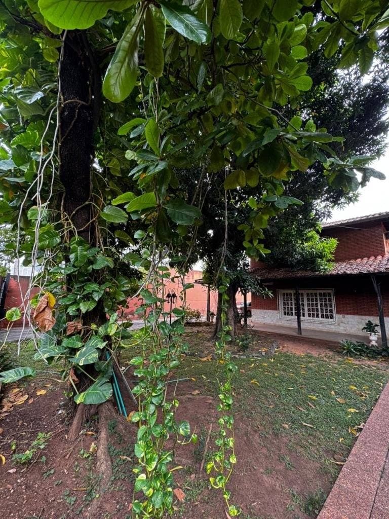 VENDO PROPIEDAD EN B° YCUA SATI – 3