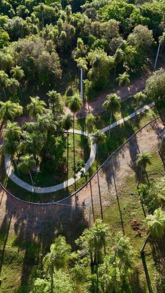 Terreno 360 m2 en Barrio Cerrado Alberi - San Bernardino – 2