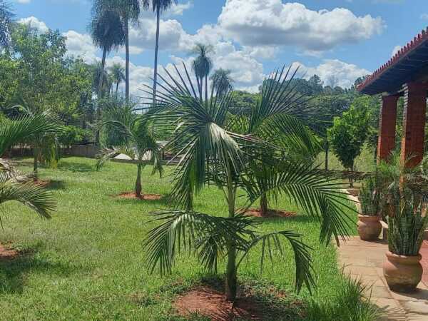 HERMOSA CASA QUINTA EN PIRIBEBUY – 3