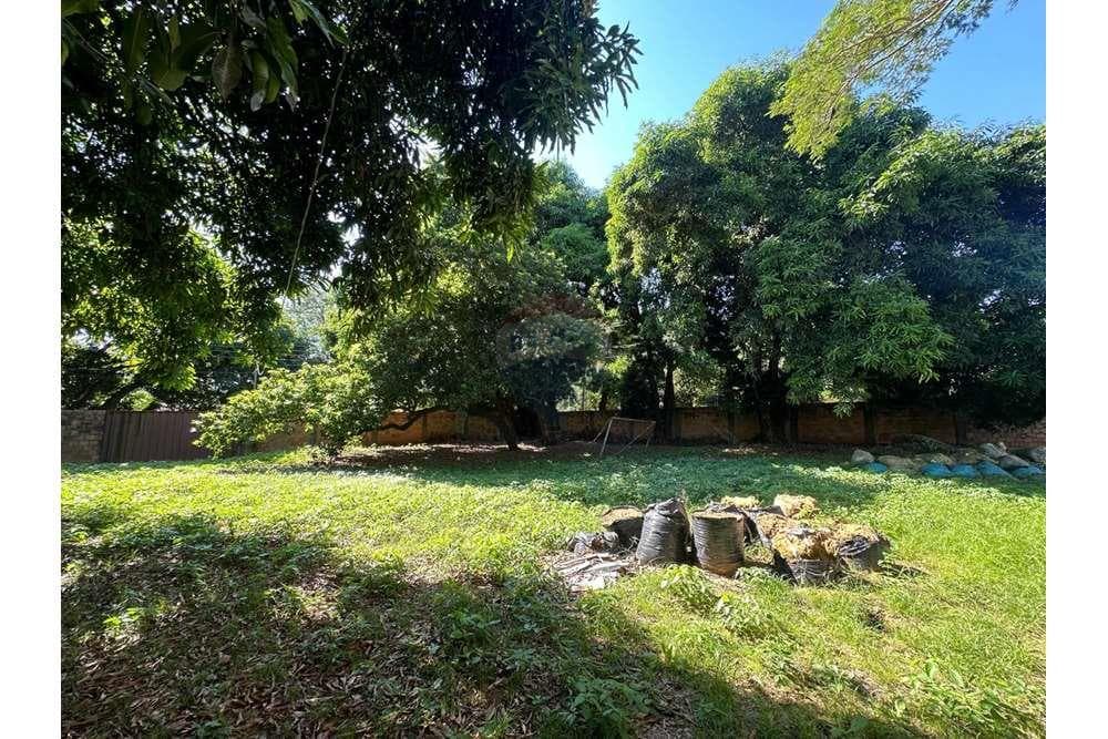 Vendo terreno en Lambaré