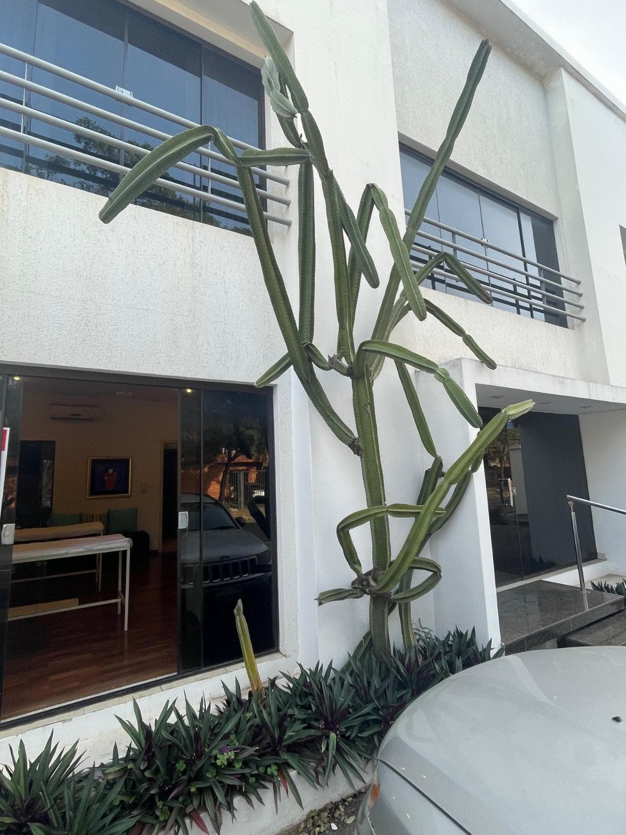 Alquilo Consultorios En El B° Mcal. Estigarribia. – 2