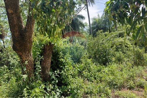En Venta Terreno De 3731 M2, Situado Sobre La Ruta Nacional - Emboscada – 2