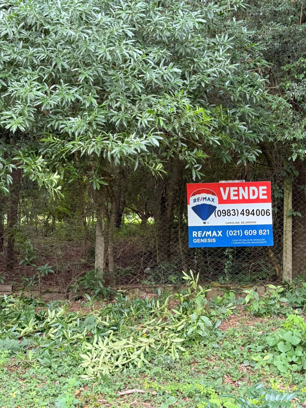 VENTA TERRENO EN SAN BERNARDINO – 2