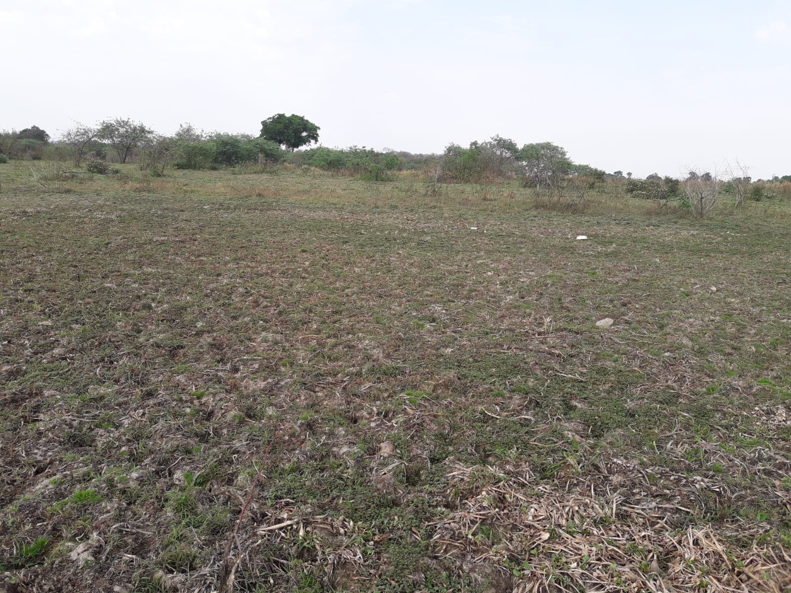 VENDO PROPIEDAD EN VILLETA SOBRE EL RIO PARAGUAY – 3