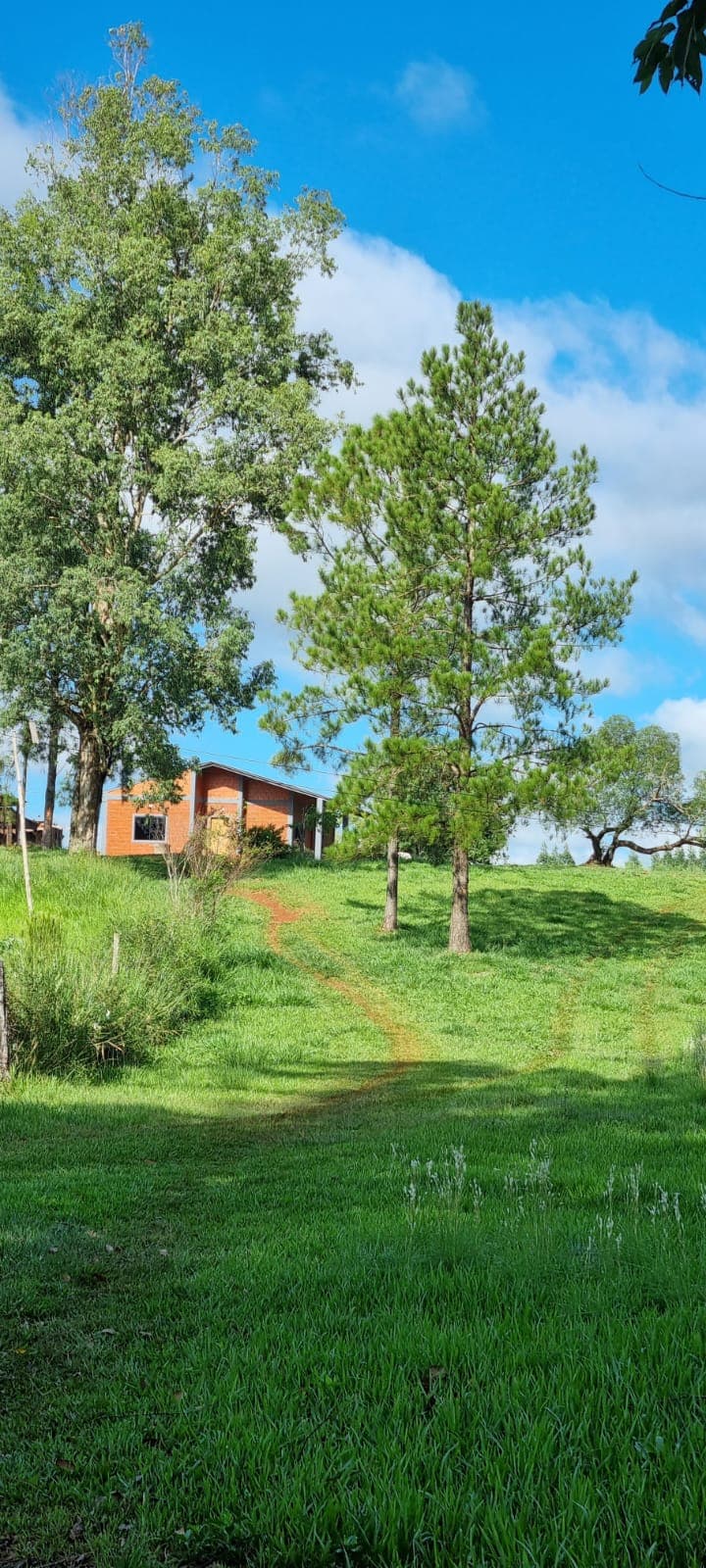 Exclusiva Granja de Ensueño: 8.5 Hectáreas de Oportunidad y Belleza en Hernandarias – 2