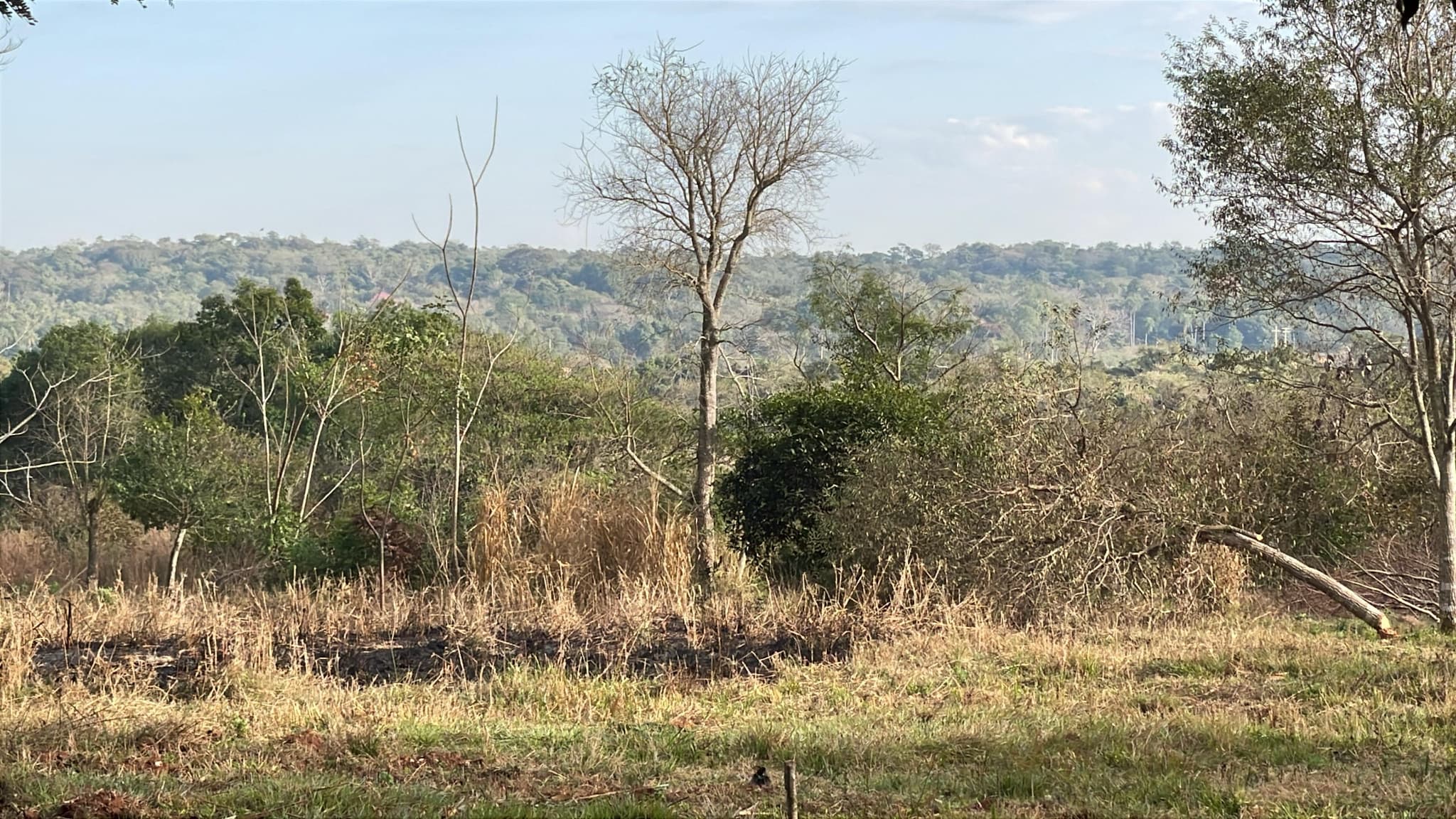 2 hectáreas con arroyito y vistas en Eusebio Ayala A 3 km de Ruta 2 – 3