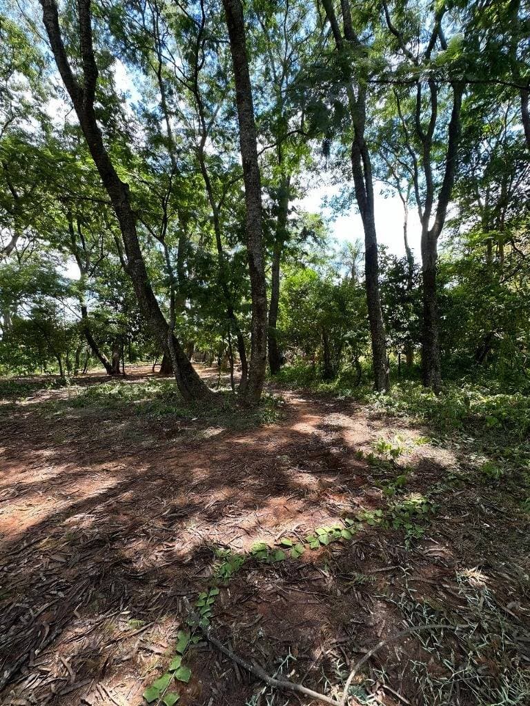 Vendo casa amoblada a estrenar en San Bernardino! – 2