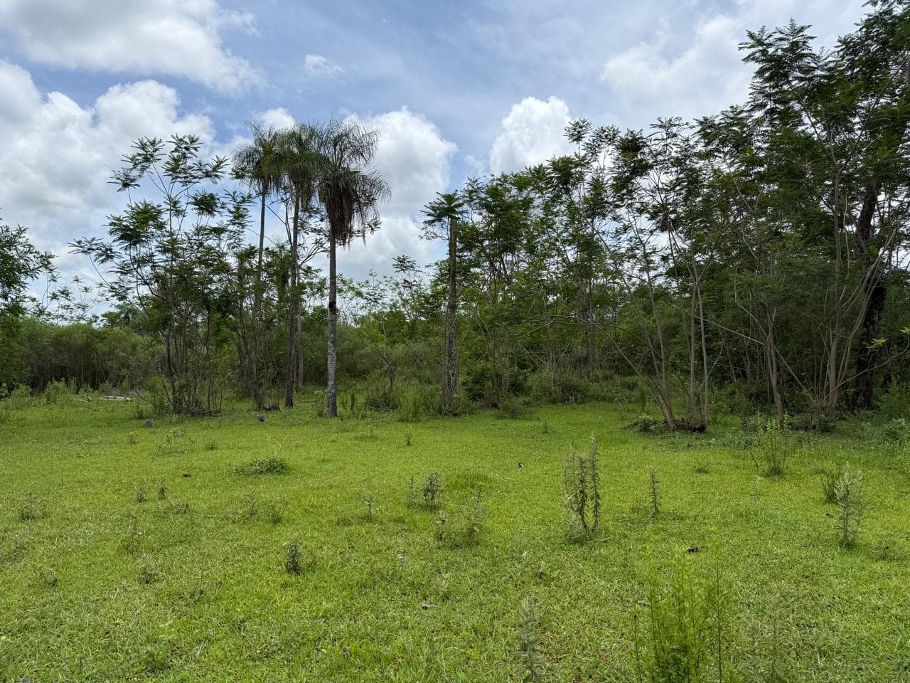 BAJÓ DE PRECIO !!! Vendo Propiedad En Carapeguá, 2.5 Ha. – 2