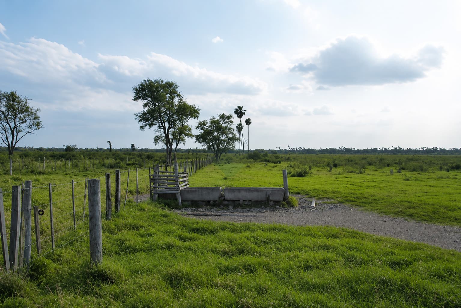 Estancia De 493 Hectáreas En Pte. Hayes – 3