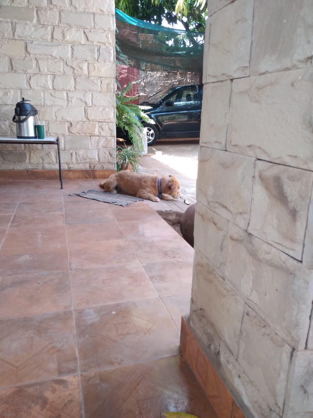 Vendo Casa En Luque En El Barrio Yka'a – 3