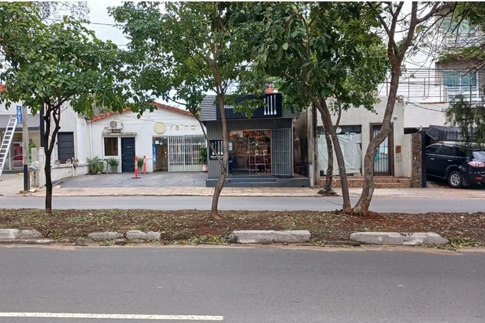 TERRENO SOBRE AV. SAN MARTIN – 2