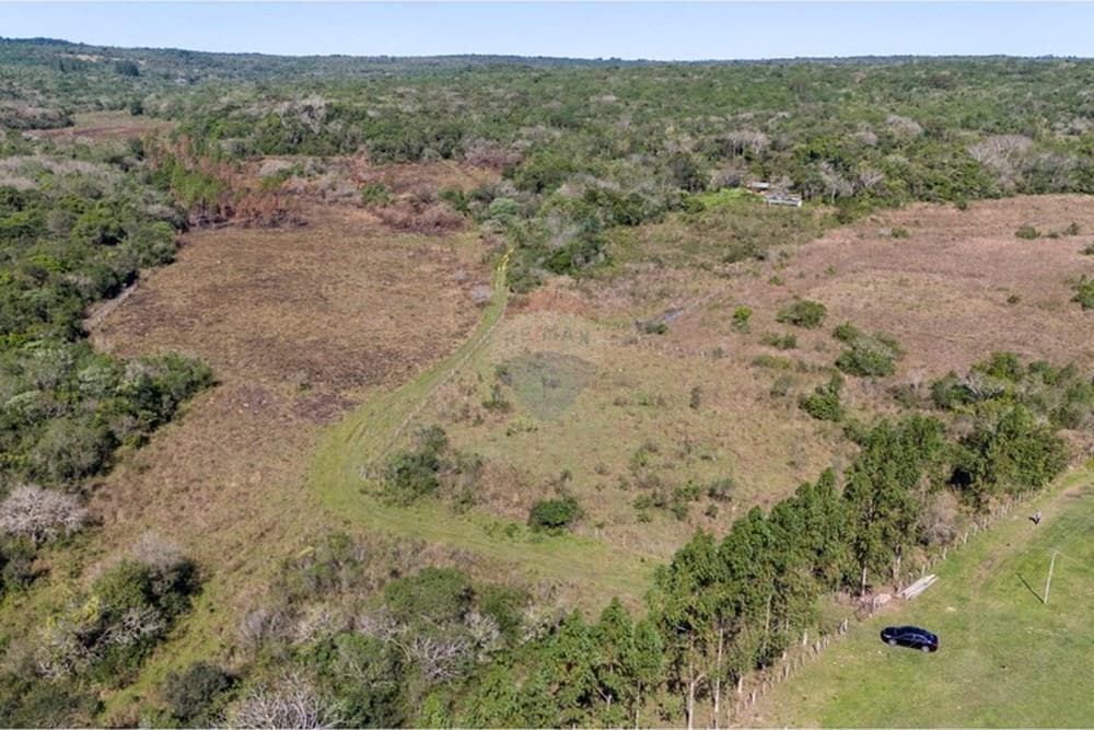 VENDO 43 HECTAREAS EN PIRIBEBUY TERRENO FERTIL – 3
