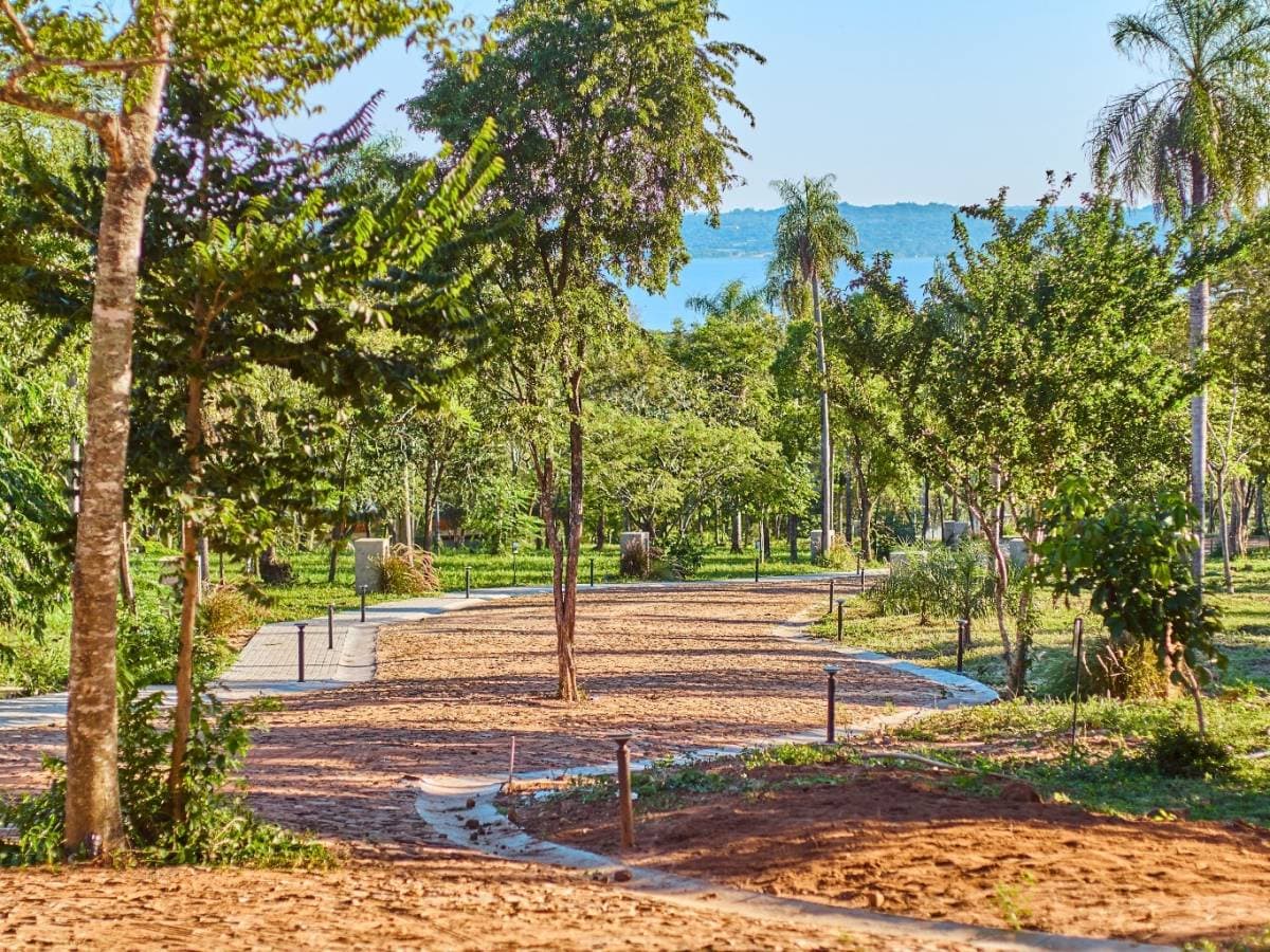 VENDO terreno en MADRE SELVA - Ciervo Kua – 3