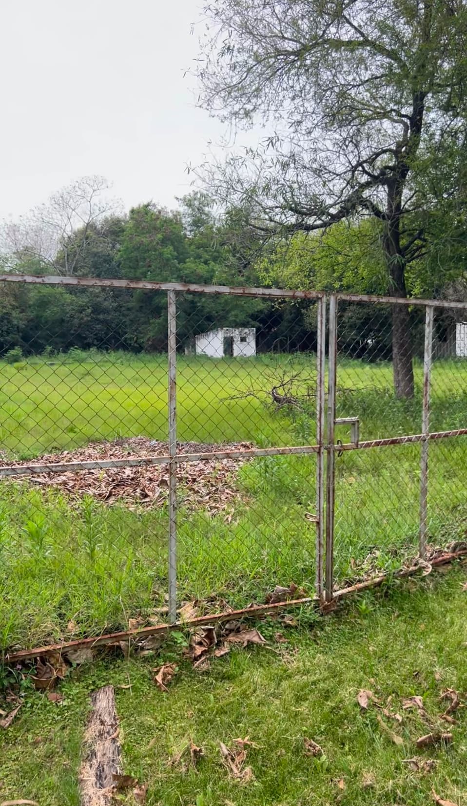 ALQUILO AMPLÍO TERRENO SOBRE AVENIDA PRINCIPAL EN SAN BERNARDINO – 3