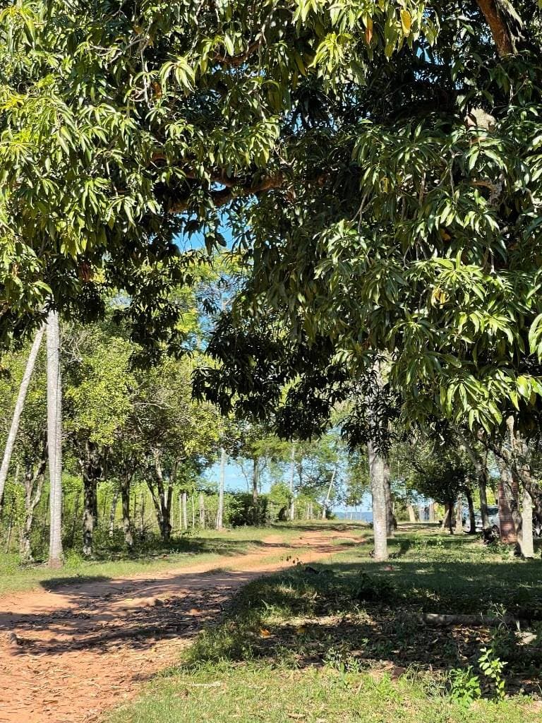 VENDO TERRENO EN TARUMANDY LUQUE – 3