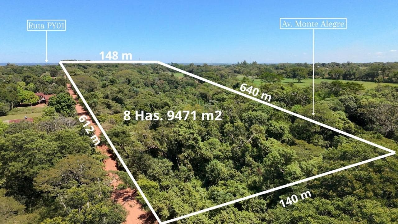 Vendo Terreno Sobre Ruta Py01 En Coronel Bogaddo. – 3