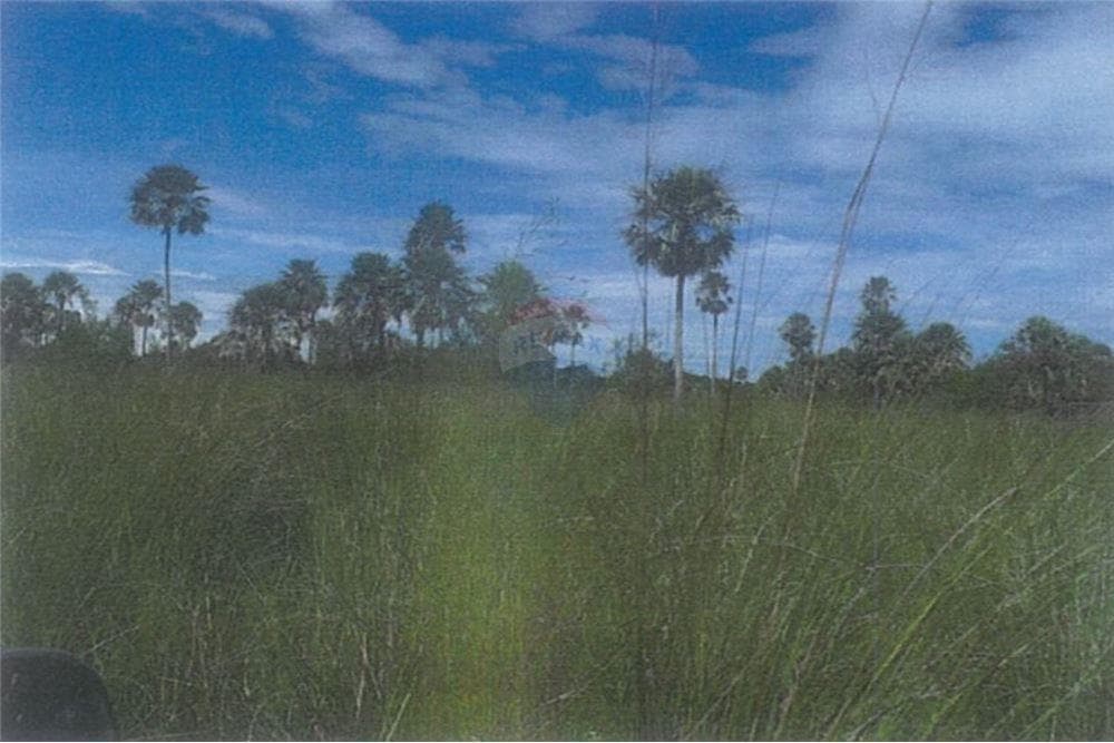 VENDO ESTANCIA 1040 HECTAREAS EN ARROYOS Y ESTEROS – 2