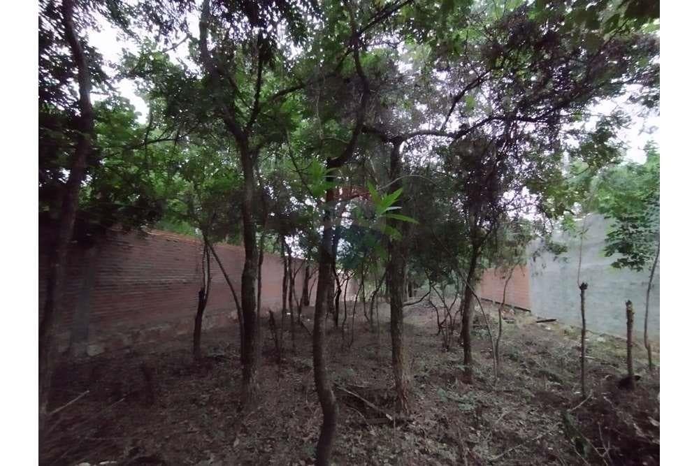 Terreno - Venta - Paraguay Central Luque – 2