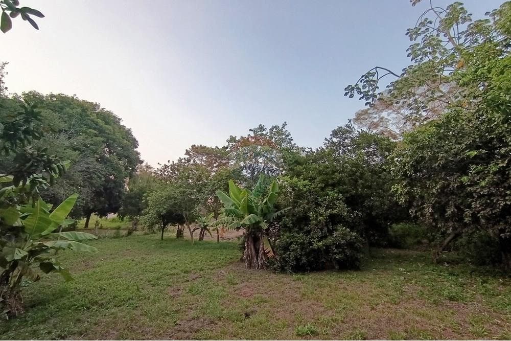 Terreno - Venta - Capiata, Central, Paraguay – 3