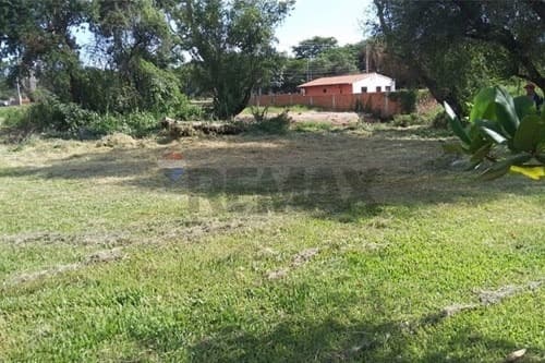 Vendo Terreno En Luque - Mora Kue