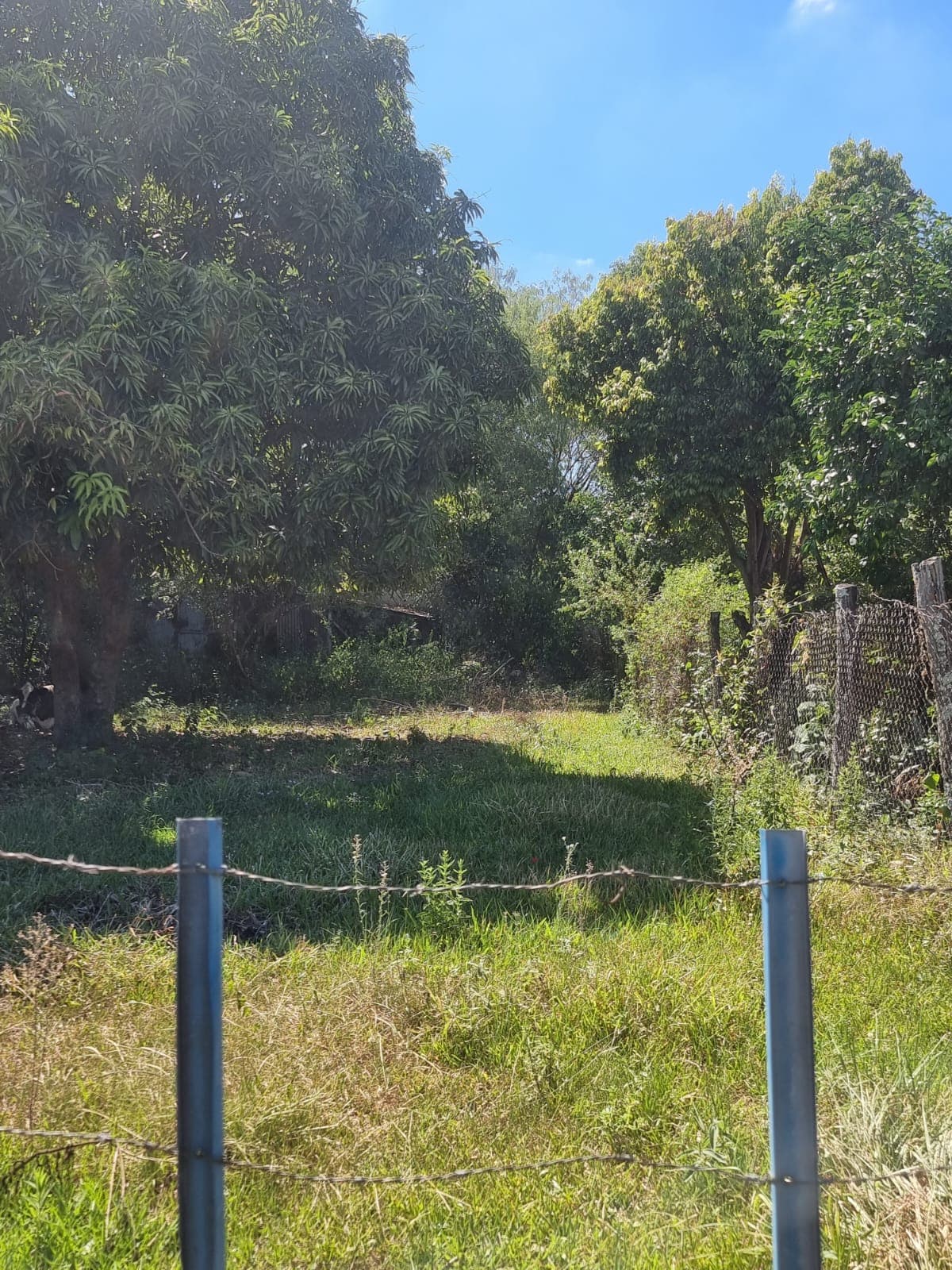 Terreno En Venta, Zona Isla Aranda De Limpio – 3