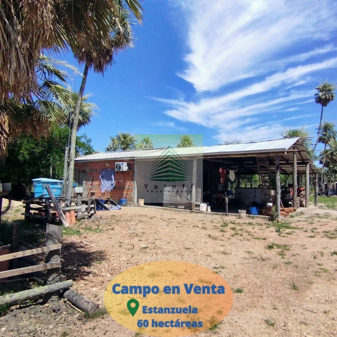 CAMPO EN ESTANZUELA VILLA OLIVA DE 60 HAS PARA GANADERÍA – 2