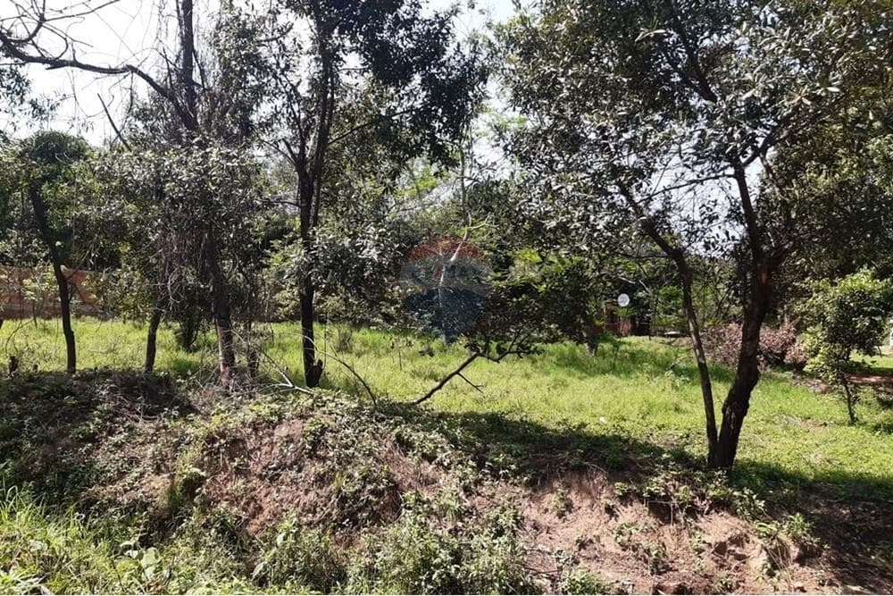 VENDO 3 TERRENO EN LUQUE junto o separados – 2