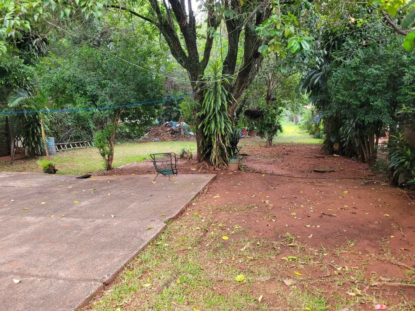 Dueño Vende Terreno 2.488 M² Sobre Exruta1 Con Tinglado, Salida De Calle A Calle