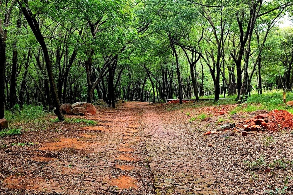Terreno-Venta-RUTA YPAKARAI - AREGUA PATIÑO, Ypacaraí, Central